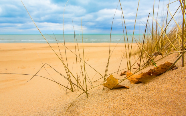beach-sand-grass-sunshine_tn2