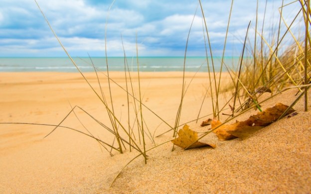 beach-sand-grass-sunshine_tn2