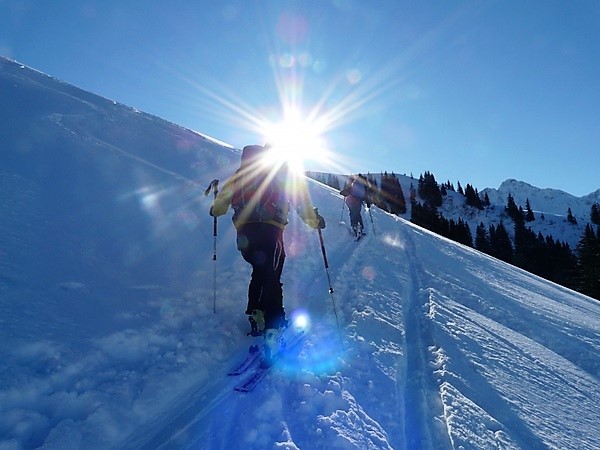 ski_tour_winter_hike_hike_222031