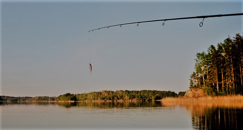 stock_fishing-1024x6561