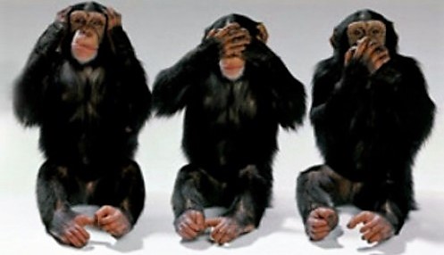 cropped-cropped-monkeys.us_