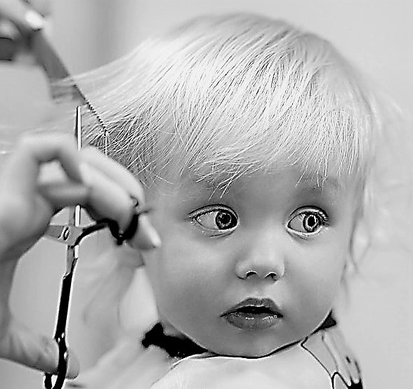 Toddler child getting his first haircut
