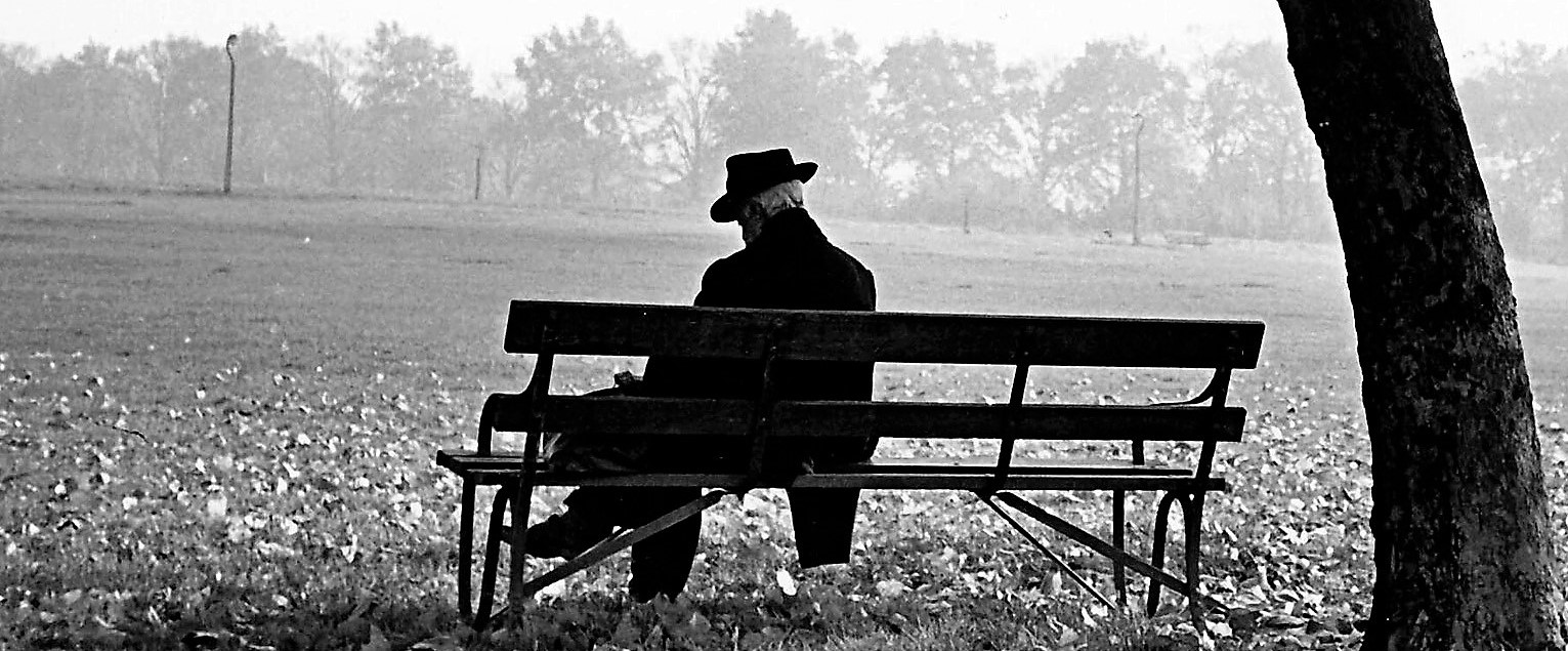 Man sitting on a bench under a tree