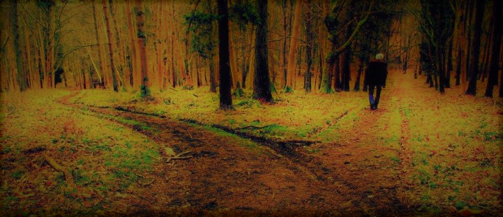 two-roads-diverge