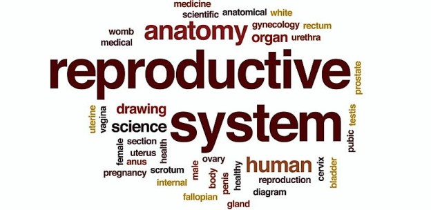 reproductive